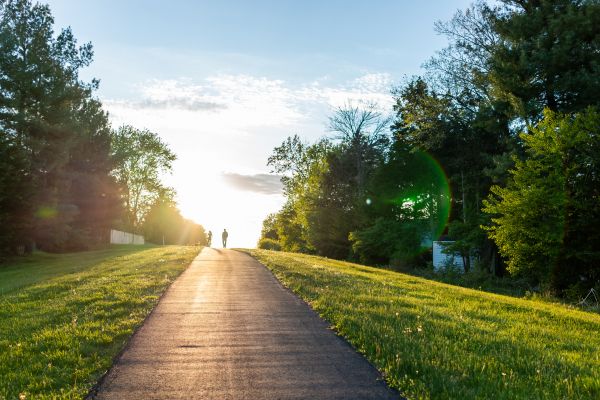 Asphalt Pathway Installation in Rogers