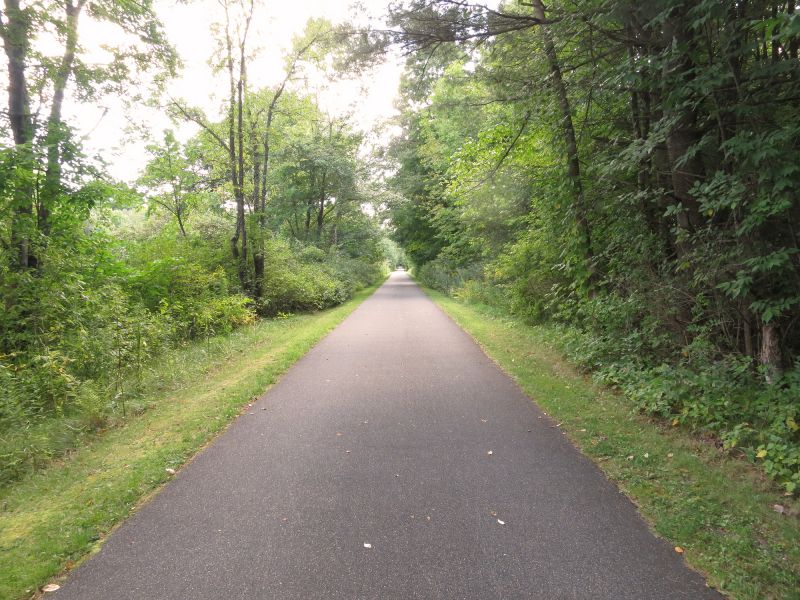 Blacktop Pathway